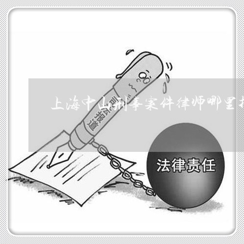 上海中山刑事案件律师哪里找/2023041441849