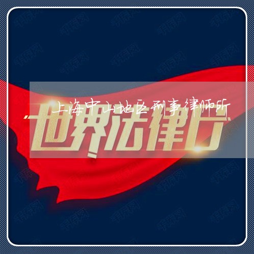 上海中山地区刑事律师所/2023030148271