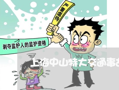 上海中山特大交通事故/2023021470573 上海中山特大交通事故/2023021470573