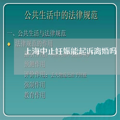 上海中止妊娠能起诉离婚吗/2023032194725 上海中止妊娠能起诉离婚吗/2023032194725