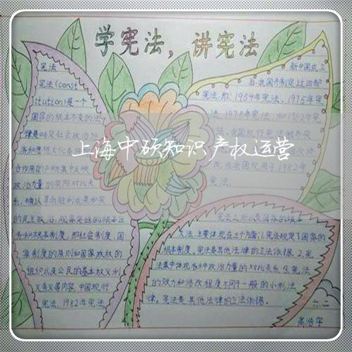 上海中硕知识产权运营/2023021382723 上海中硕知识产权运营/2023021382723