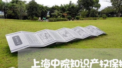 上海中院知识产权保护亮点/2023032152615 上海中院知识产权保护亮点/2023032152615