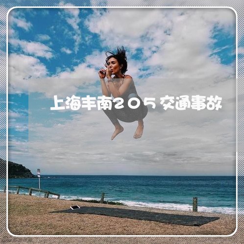 上海丰南205交通事故/2023030106137