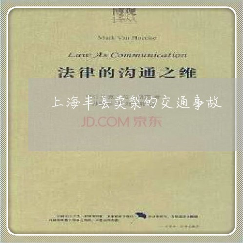 上海丰县卖梨的交通事故/2023030191703