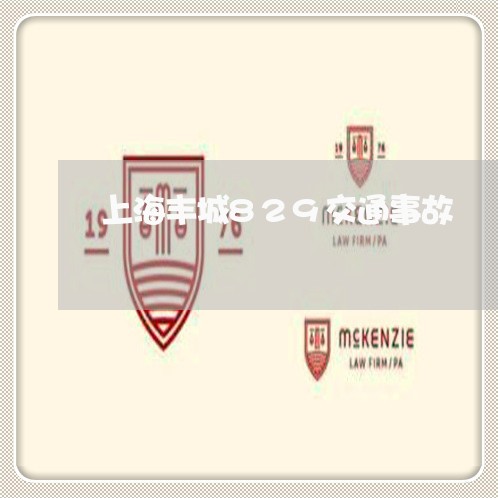 上海丰城829交通事故/2023030205916 上海丰城829交通事故/2023030205916