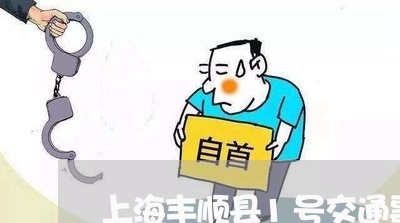 上海丰顺县1号交通事故/2023030272503