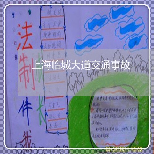 上海临城大道交通事故/2023021404817 上海临城大道交通事故/2023021404817