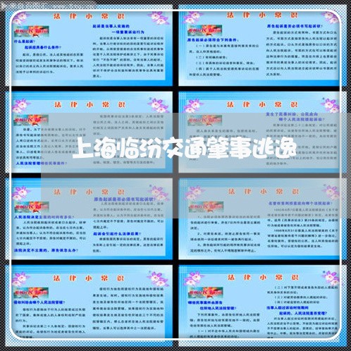 上海临汾交通肇事逃逸/2023021470784 上海临汾交通肇事逃逸/2023021470784