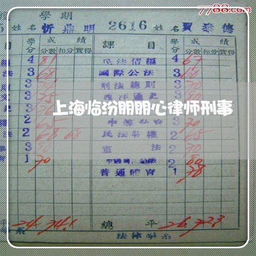 上海临汾朋朋心律师刑事/2023030213927