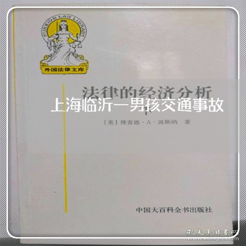 上海临沂一男孩交通事故/2023030247362