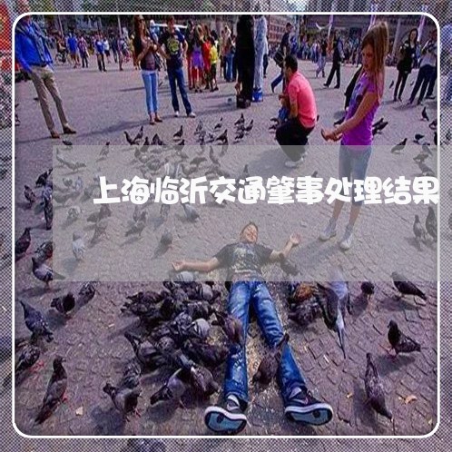 上海临沂交通肇事处理结果/2023032144936 上海临沂交通肇事处理结果/2023032144936