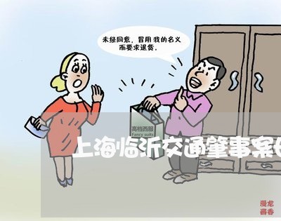 上海临沂交通肇事案母女/2023030245027 上海临沂交通肇事案母女/2023030245027