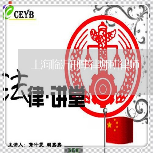 上海临沂刑事律师所律师/2023030247362