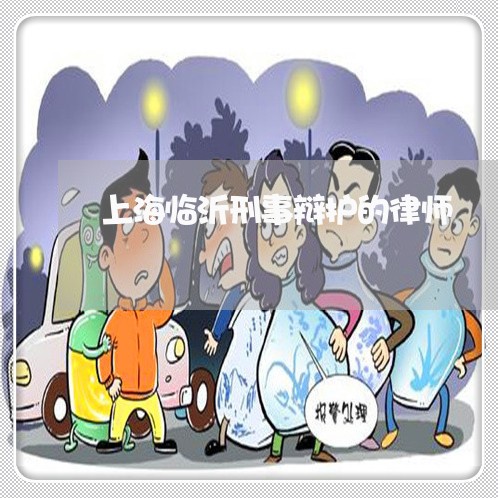 上海临沂刑事辩护的律师/2023030265838