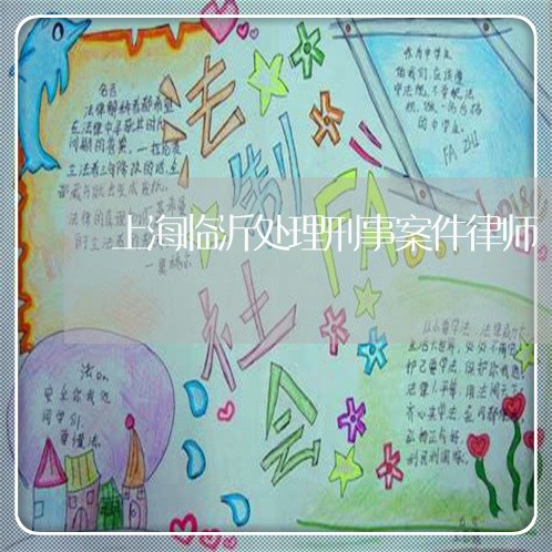 上海临沂处理刑事案件律师/2023032126059
