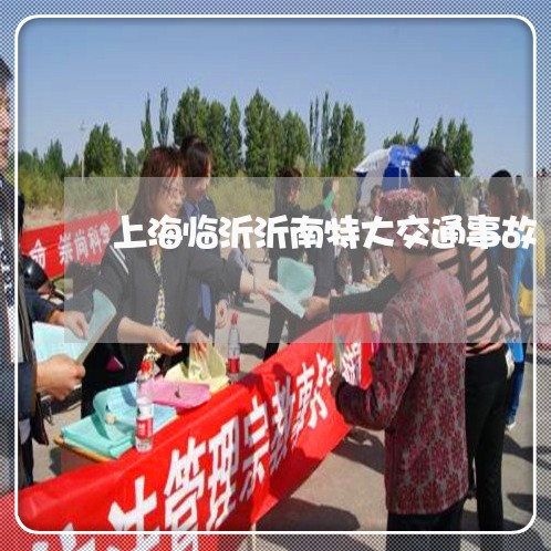 上海临沂沂南特大交通事故/2023032112526 上海临沂沂南特大交通事故/2023032112526