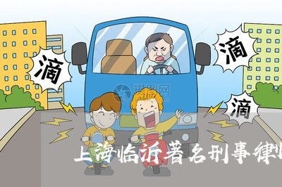 上海临沂著名刑事律师/2023021449183 上海临沂著名刑事律师/2023021449183