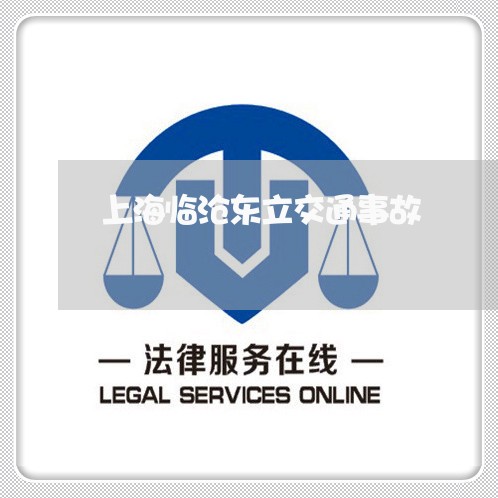 上海临沧东立交通事故/2023021438381 上海临沧东立交通事故/2023021438381