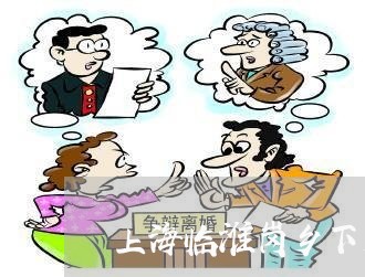 上海临淮岗乡下交通事故/2023030150392