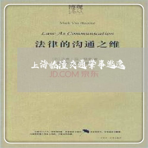 上海临潼交通肇事逃逸/2023021348159 上海临潼交通肇事逃逸/2023021348159