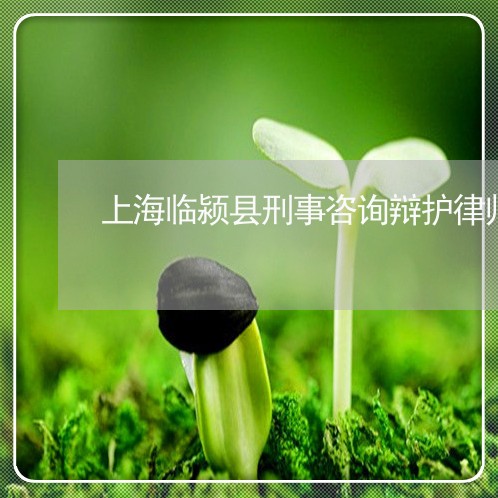 上海临颍县刑事咨询辩护律师/2023041471693