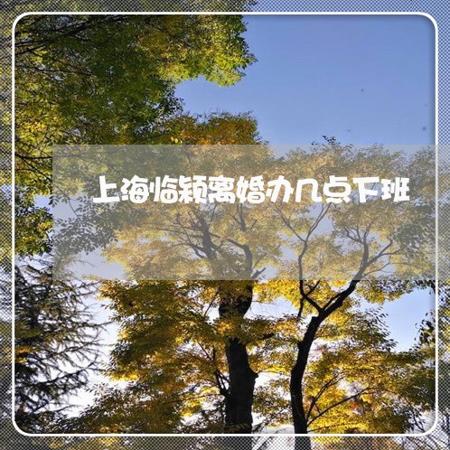 上海临颍离婚办几点下班/2023030140259