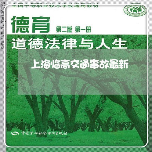 上海临高交通事故最新/2023021373849