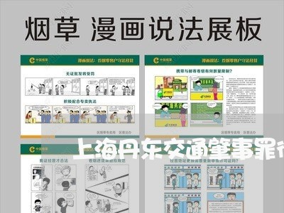 上海丹东交通肇事罪律师/2023030157371