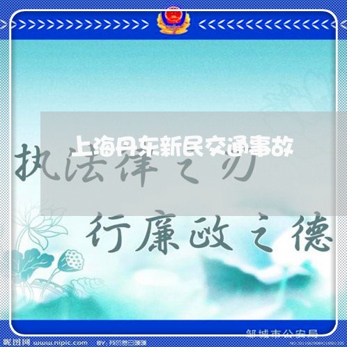上海丹东新民交通事故/2023021383813 上海丹东新民交通事故/2023021383813