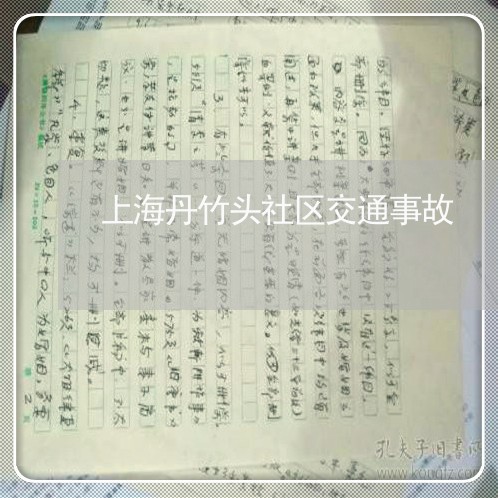 上海丹竹头社区交通事故/2023030119592 上海丹竹头社区交通事故/2023030119592