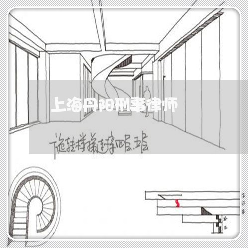 上海丹阳刑事律师/2023032483725