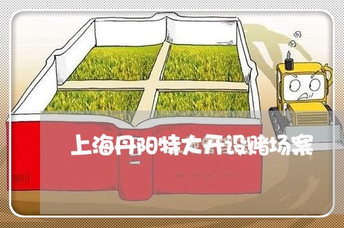 上海丹阳特大开设赌场案/2023030150481 上海丹阳特大开设赌场案/2023030150481