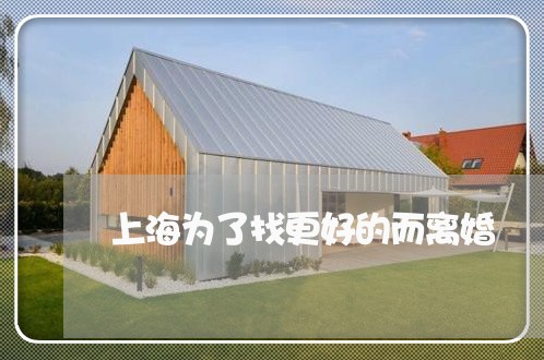 上海为了找更好的而离婚/2023030106026 上海为了找更好的而离婚/2023030106026