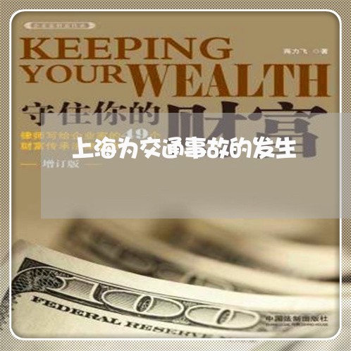 上海为交通事故的发生/2023021449360 上海为交通事故的发生/2023021449360