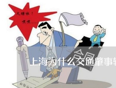 上海为什么交通肇事轻判/2023030159370
