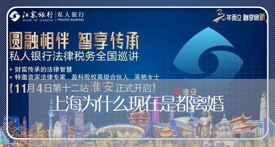 上海为什么现在是都离婚/2023030113928 上海为什么现在是都离婚/2023030113928