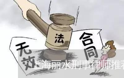 上海丽水刑事律师推荐/2023040951714