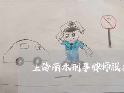 上海丽水刑事律师服务/2023040930491