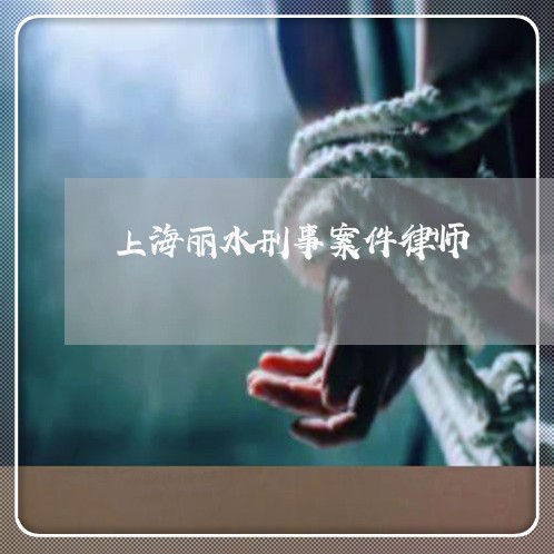 上海丽水刑事案件律师/2023040991794