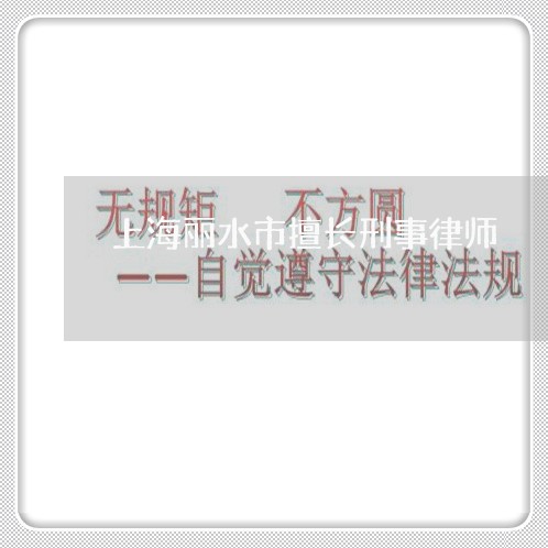 上海丽水市擅长刑事律师/2023030155828 上海丽水市擅长刑事律师/2023030155828