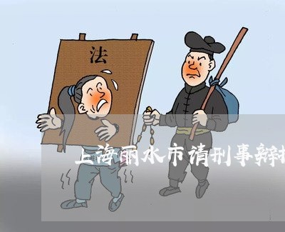 上海丽水市请刑事辩护律师/2023032046250