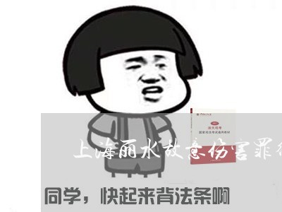 上海丽水故意伤害罪律师/2023030162582