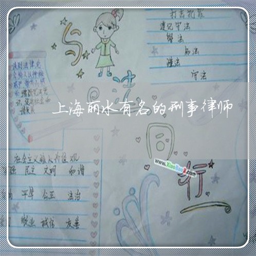 上海丽水有名的刑事律师/2023030118069