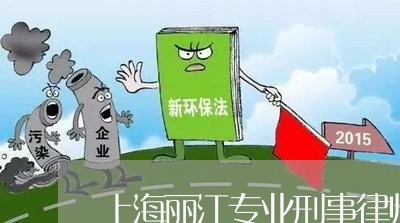 上海丽江专业刑事律师/2023040930480