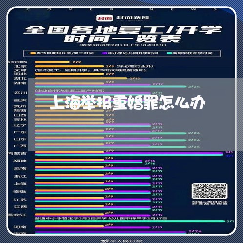 上海举报重婚罪怎么办/2023040963515