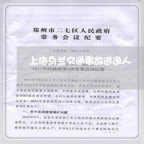 上海乌兰交通事故逃逸人/2023022894806