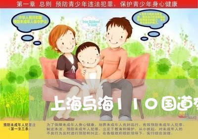 上海乌海110国道交通事故/2023040126061 上海乌海110国道交通事故/2023040126061
