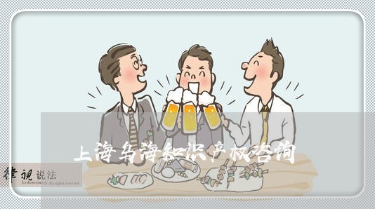 上海乌海知识产权咨询/2023021338480 上海乌海知识产权咨询/2023021338480