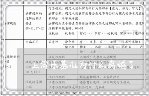 上海乐基儿为什么离婚了/2023022883814