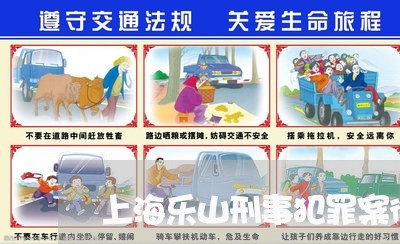 上海乐山刑事犯罪案律师/2023022807059
